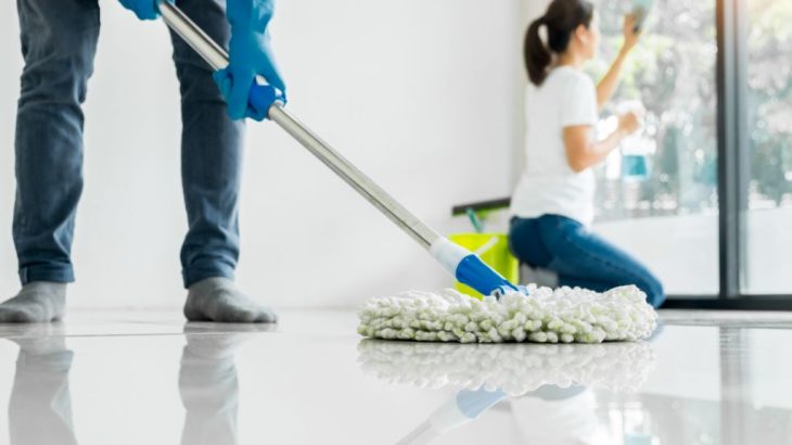 Pourquoi procéder à la désinsectisation avant de déménager ?